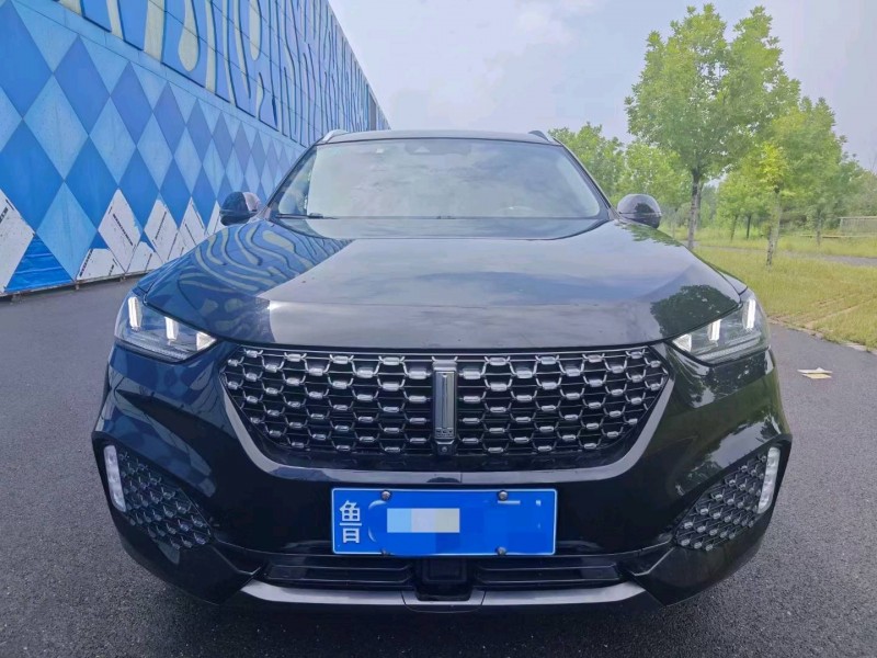 淄博20年长城汽车WEY VV61