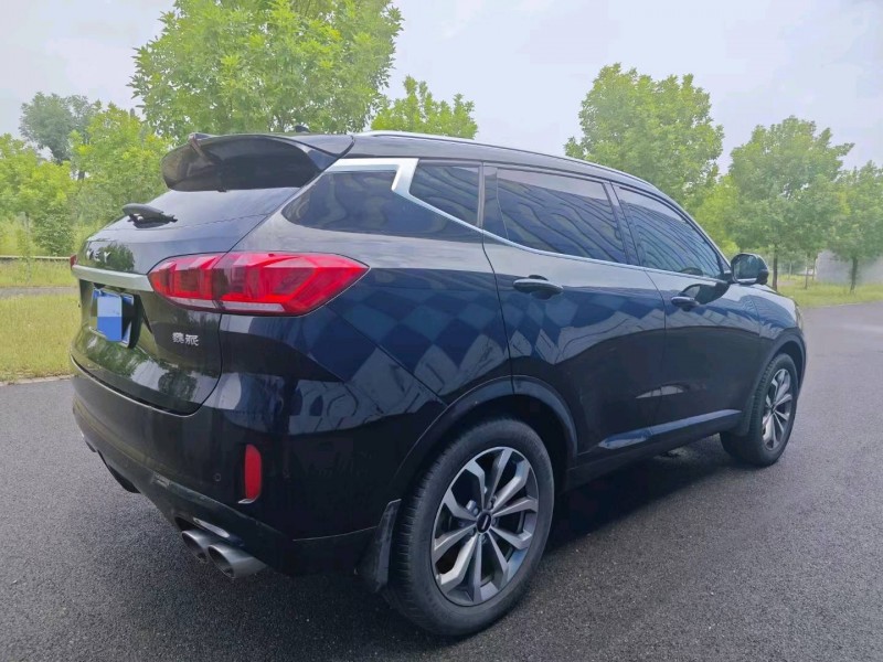 淄博20年长城汽车WEY VV67