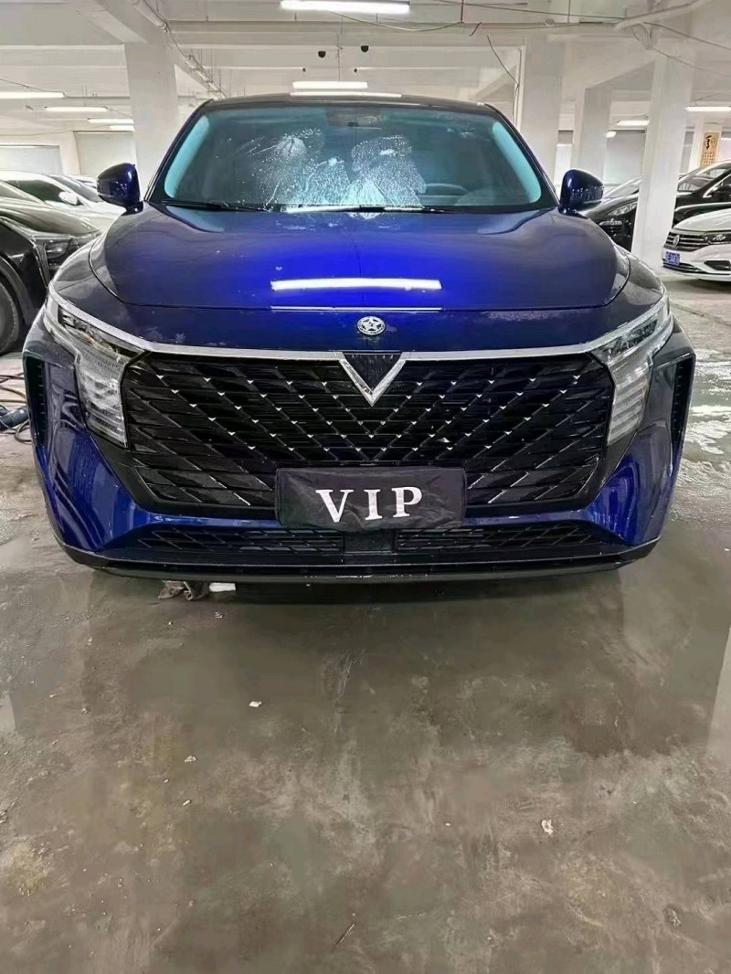 安順22年啟辰大V1