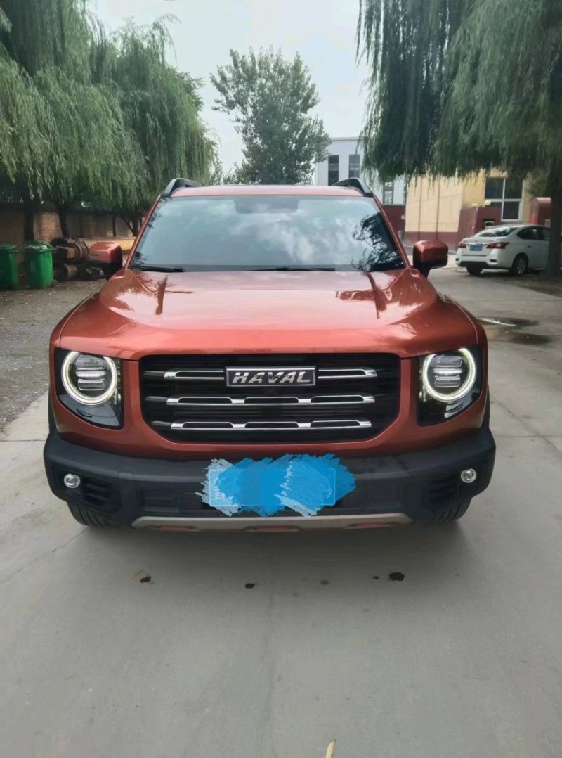 保定21年哈弗大狗1