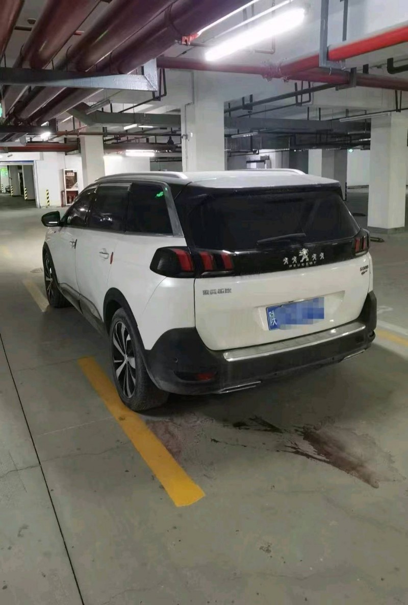 咸陽17年標致50086