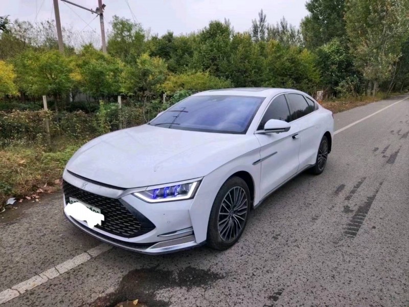 枣庄22年比亚迪汉DM9