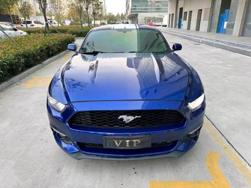 淄博16年福特野马1