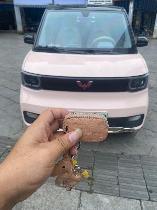 桂林22年五菱汽車MINIEV馬卡龍5