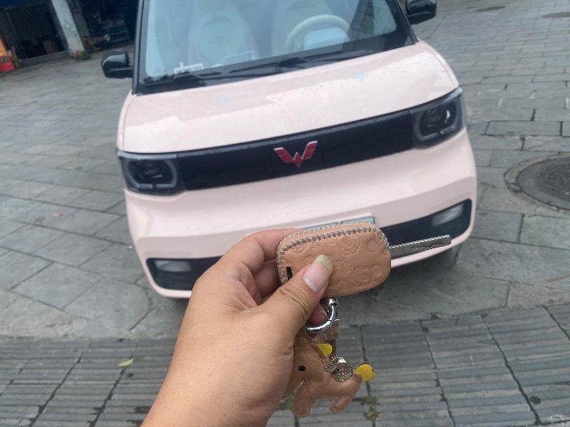 桂林22年五菱汽車MINIEV馬卡龍6