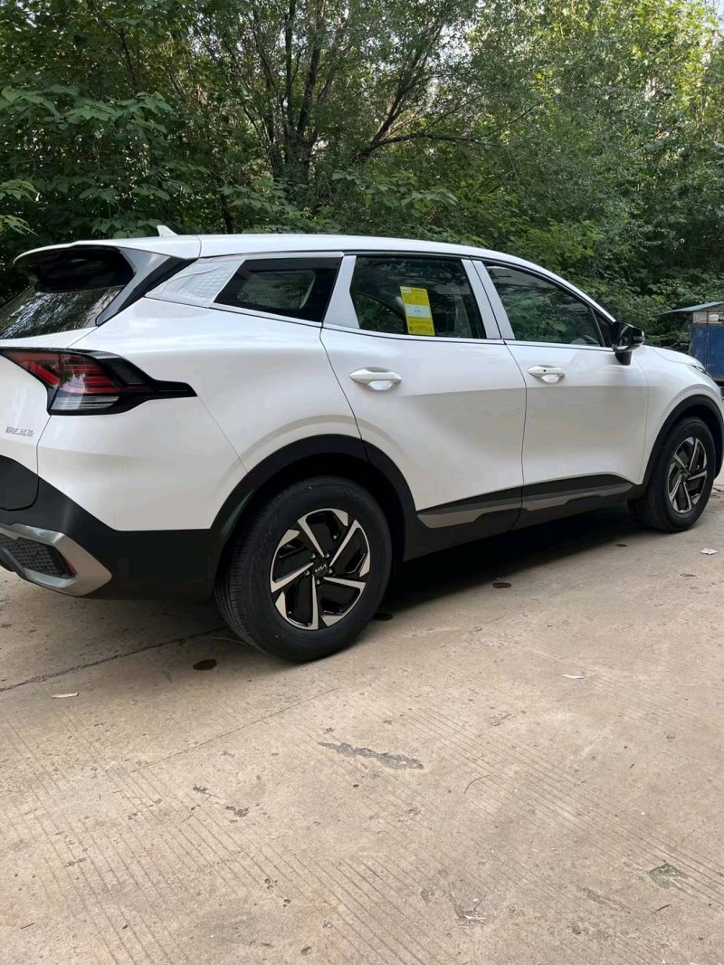 邯郸23年起亚狮铂6