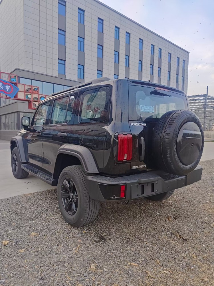 廊坊23年长城汽车坦克3006