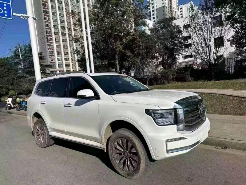 常州22年长城汽车坦克5002