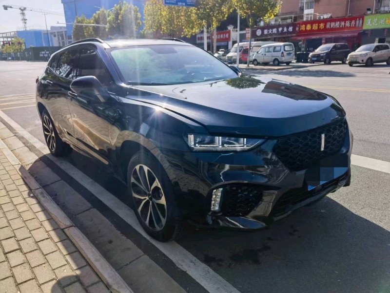 鄂州18年長城汽車WEY VV73