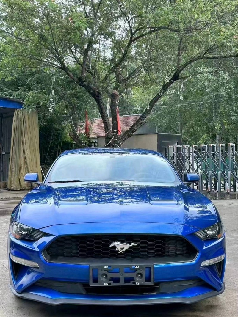 潍坊18年福特野马1