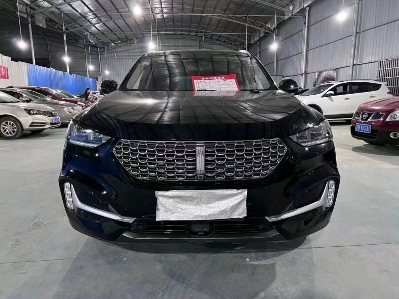 衡阳21年长城汽车WEY VV61