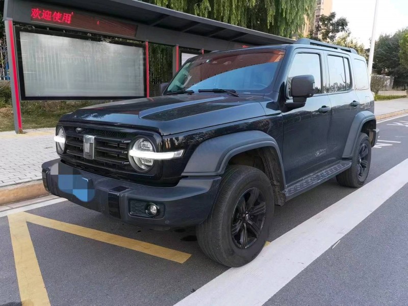 宜昌21年長城汽車坦克3002