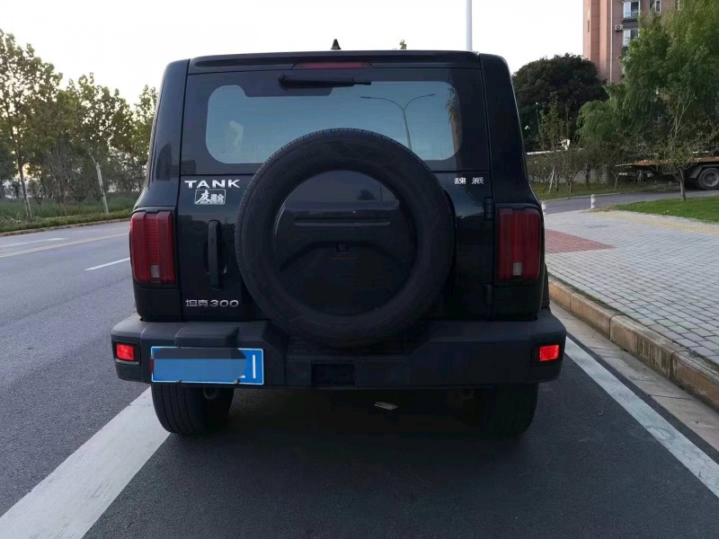 宜昌21年長城汽車坦克3006