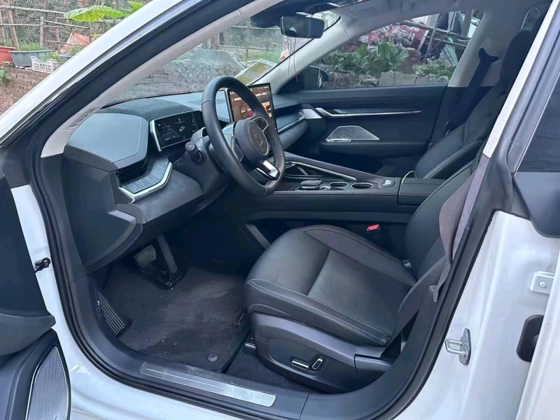 衡陽23年極氪汽車0015