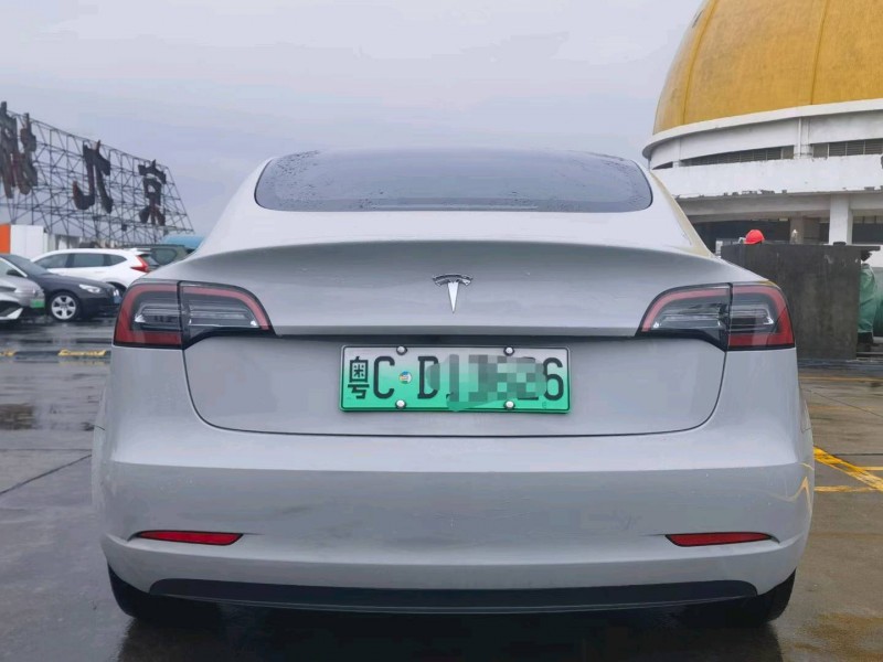 東莞21年特斯拉MODEL 39