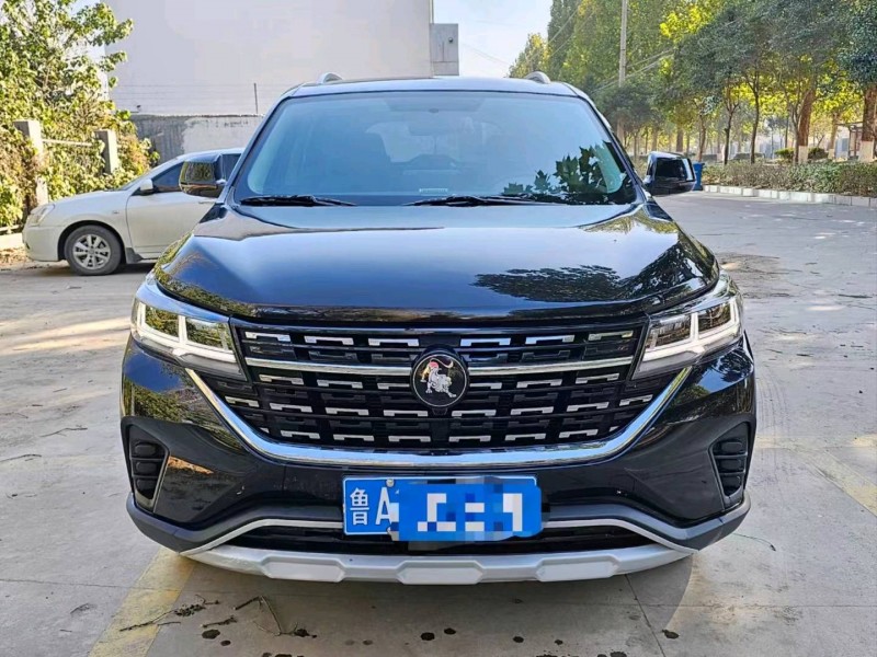 枣庄22年东风T51