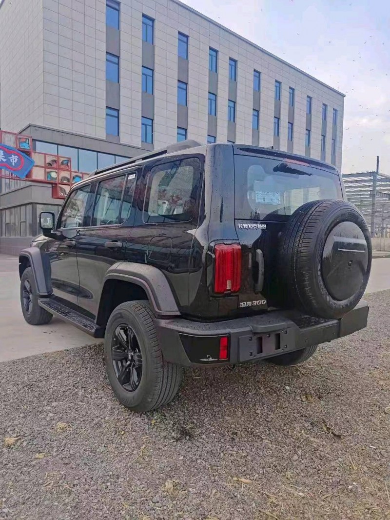 邯郸23年长城汽车坦克3006