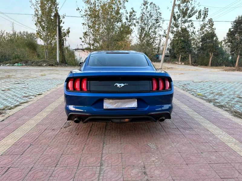 徐州18年福特野马9