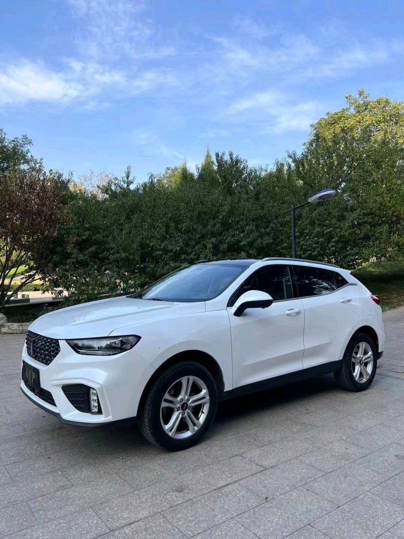 邢台20年长城汽车WEY VV52