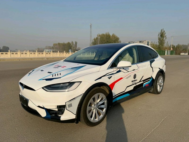 棗莊19年特斯拉MODEL X2