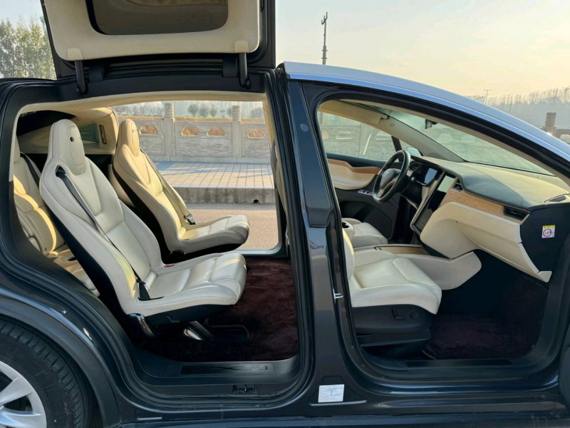 棗莊19年特斯拉MODEL X6