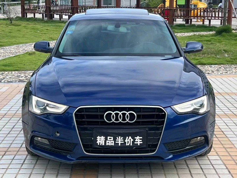 珠海14年奥迪A51