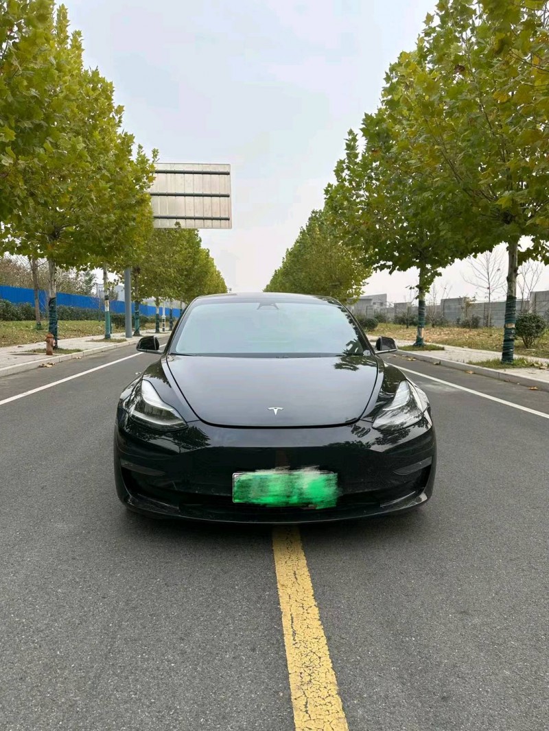 徐州20年特斯拉MODEL 31