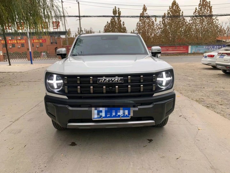 保定23年哈弗大狗1