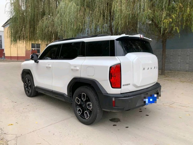 保定23年哈弗大狗7