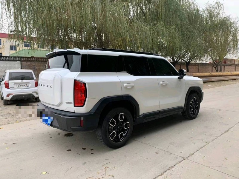 保定23年哈弗大狗8