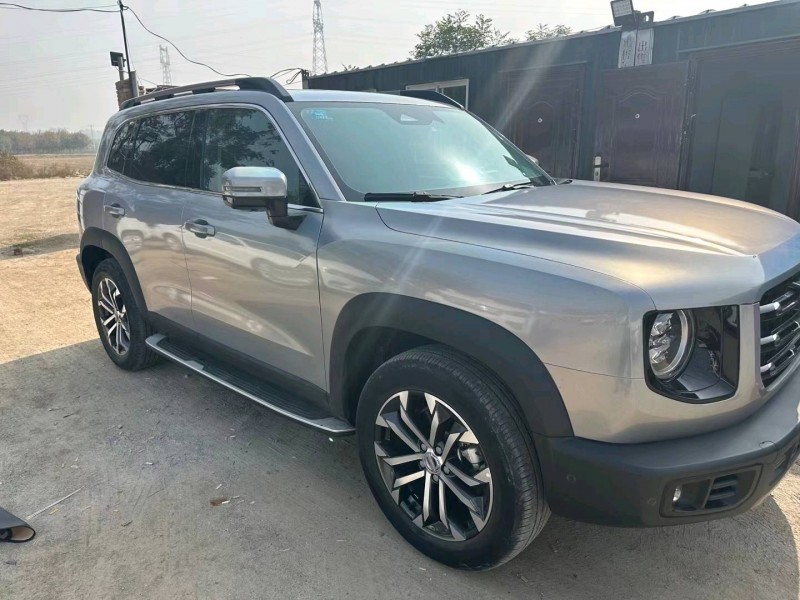 保定20年哈弗大狗1