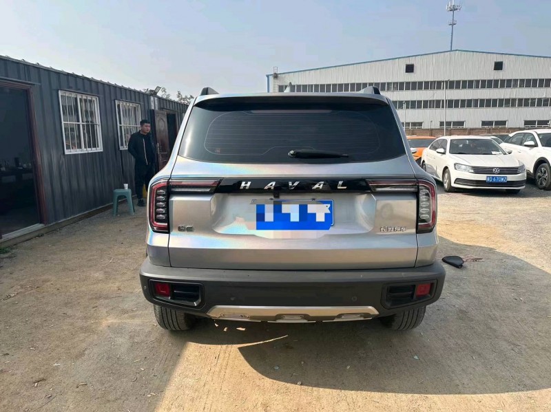 保定20年哈弗大狗8