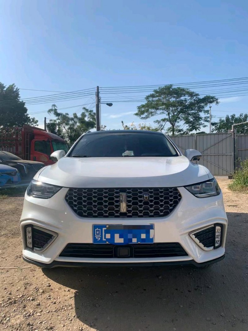广州21年长城汽车WEY VV51