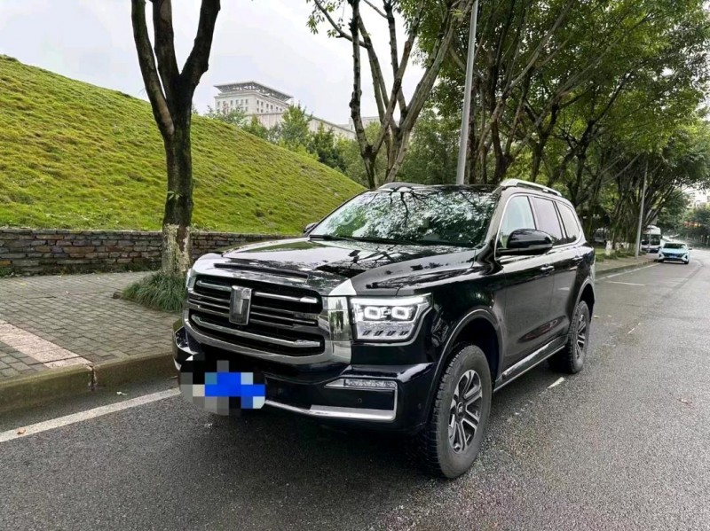 重庆22年长城汽车坦克5002