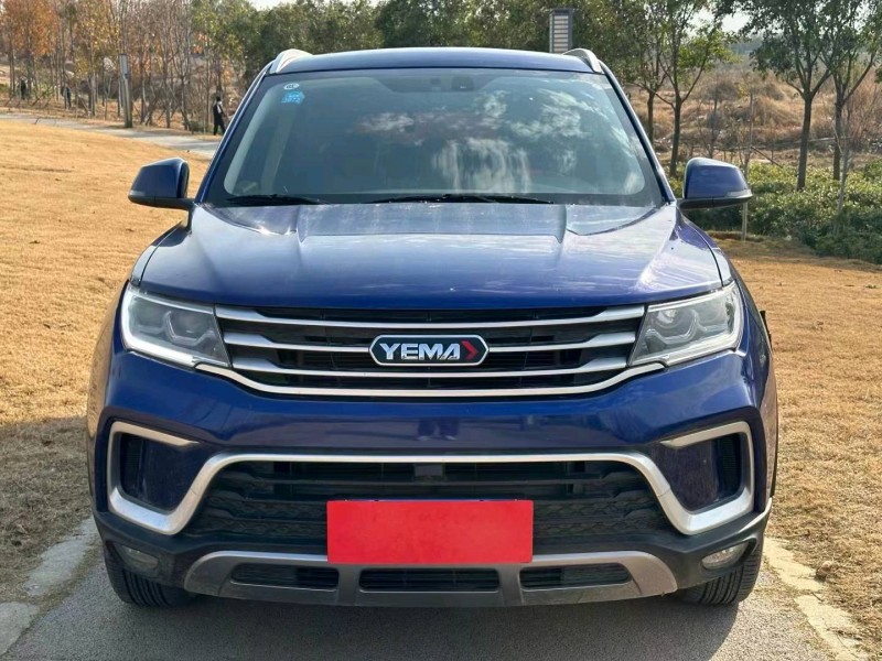 安陽20年野馬汽車博駿1