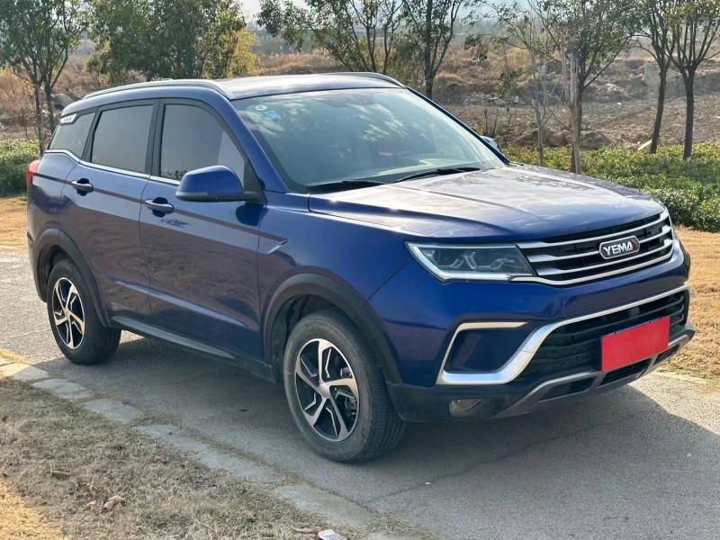 安陽20年野馬汽車博駿2