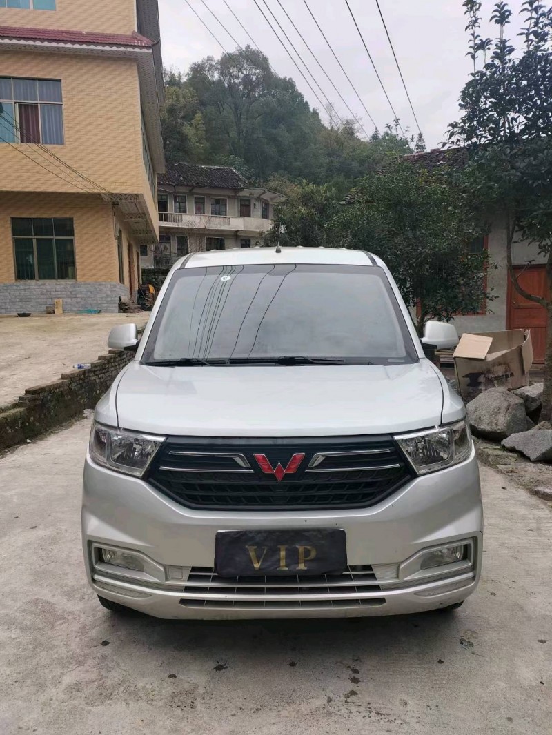 廣州20年五菱汽車宏光1