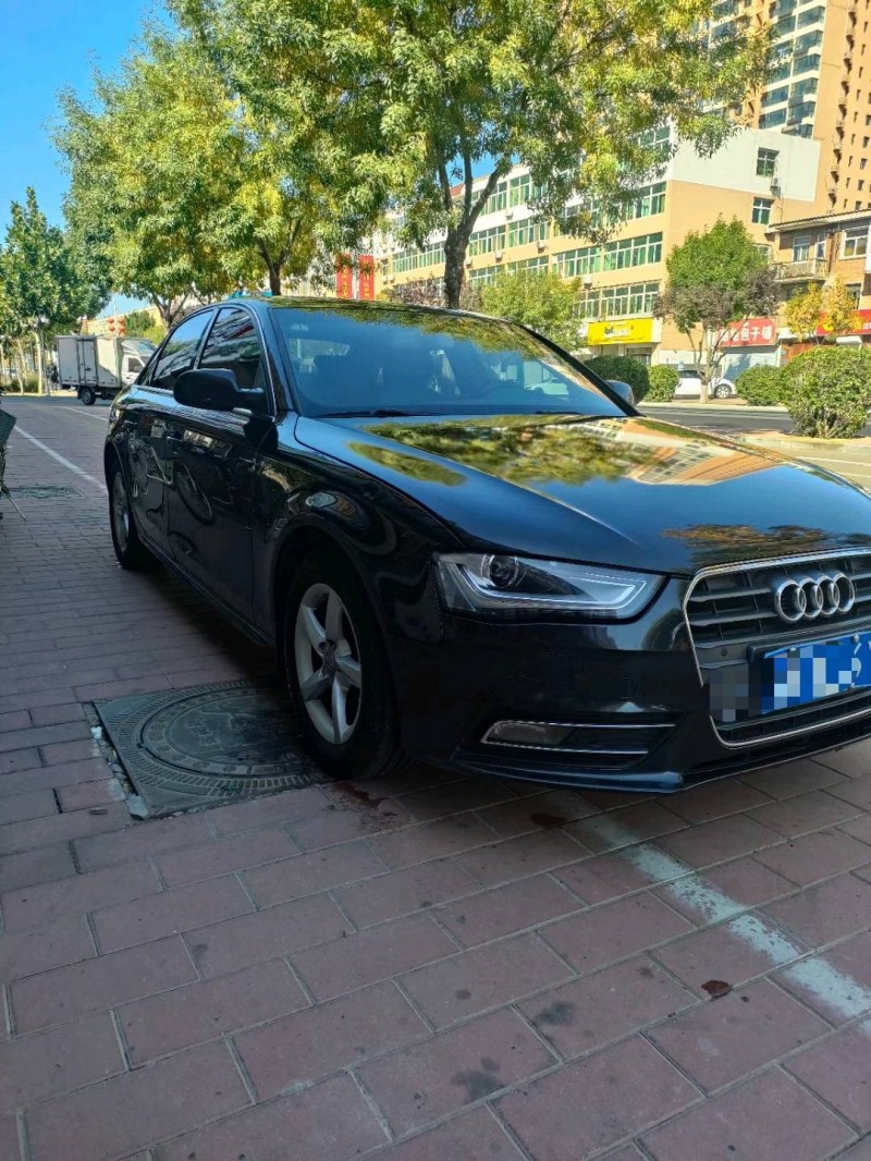 保定13年奥迪A4L2