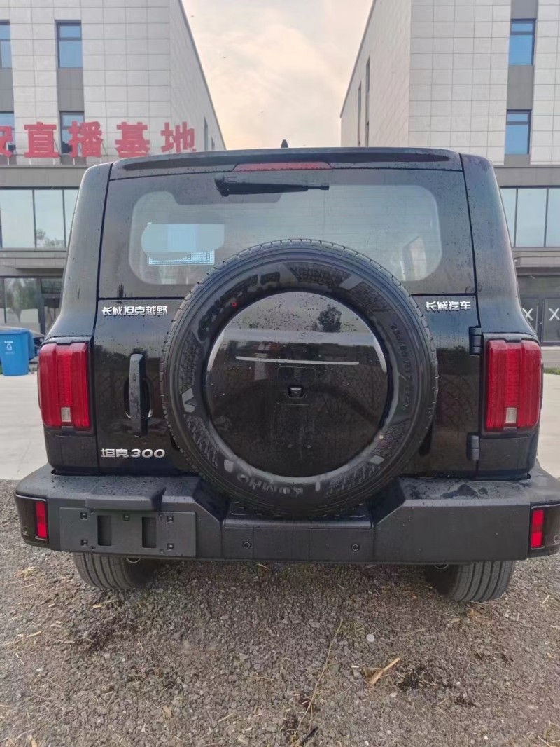 廊坊23年长城汽车坦克3009