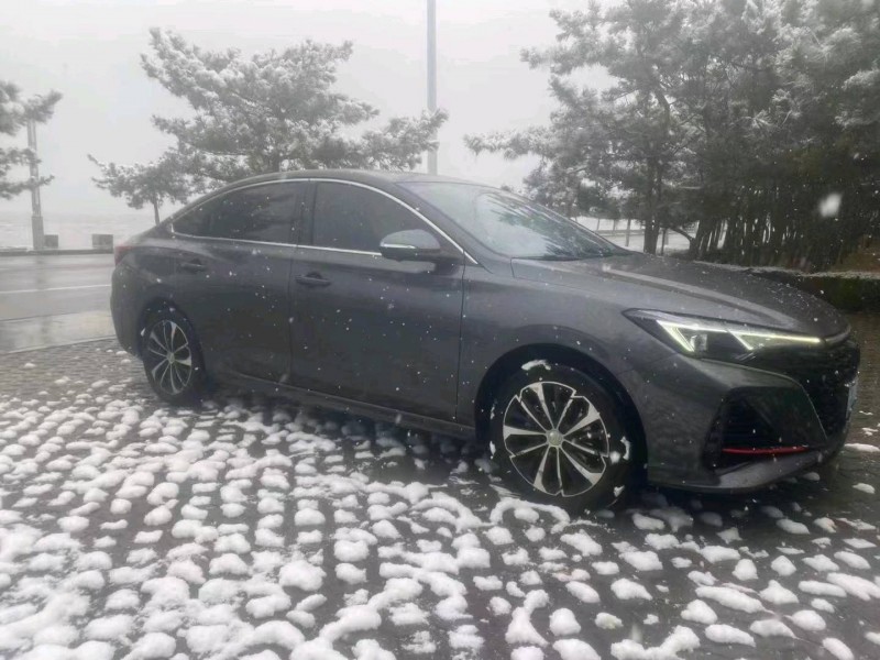 东营22年长安汽车逸动2