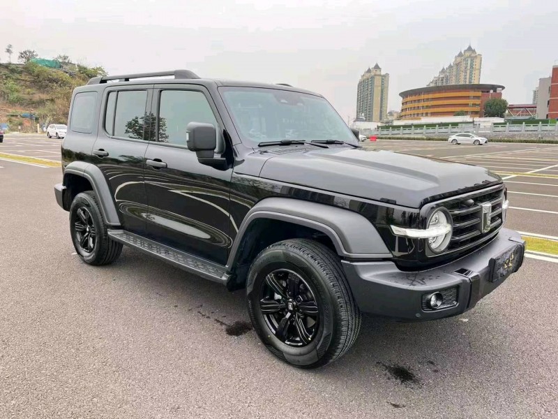宜昌23年長城汽車坦克3003
