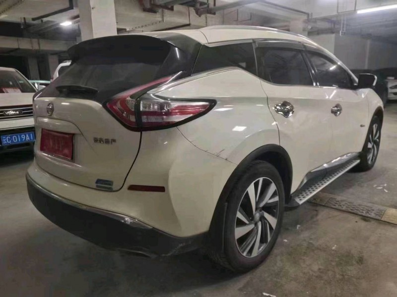瀘州19年日產樓蘭8