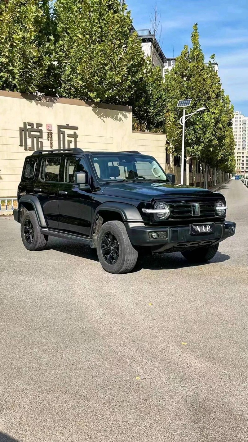 廊坊22年长城汽车坦克3003