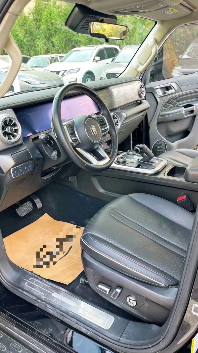 廊坊22年长城汽车坦克3005