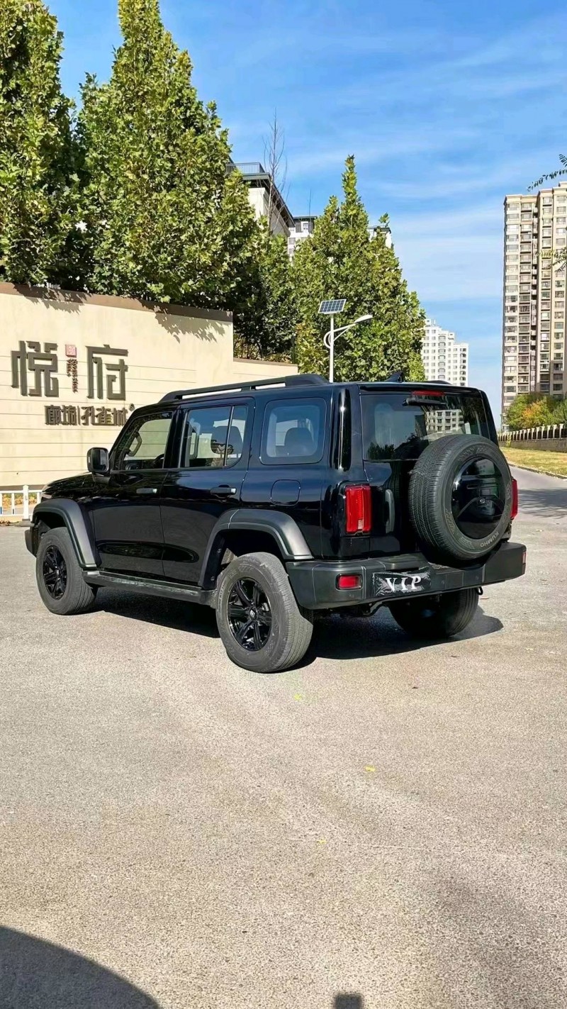 廊坊22年长城汽车坦克3008