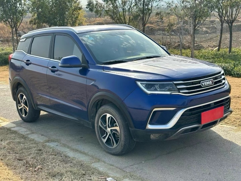 鄭州20年野馬汽車博駿3