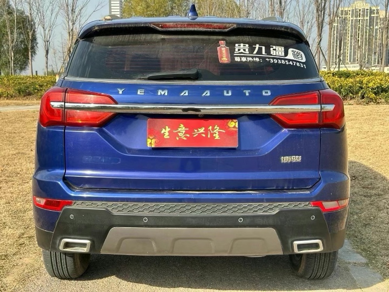 鄭州20年野馬汽車博駿5