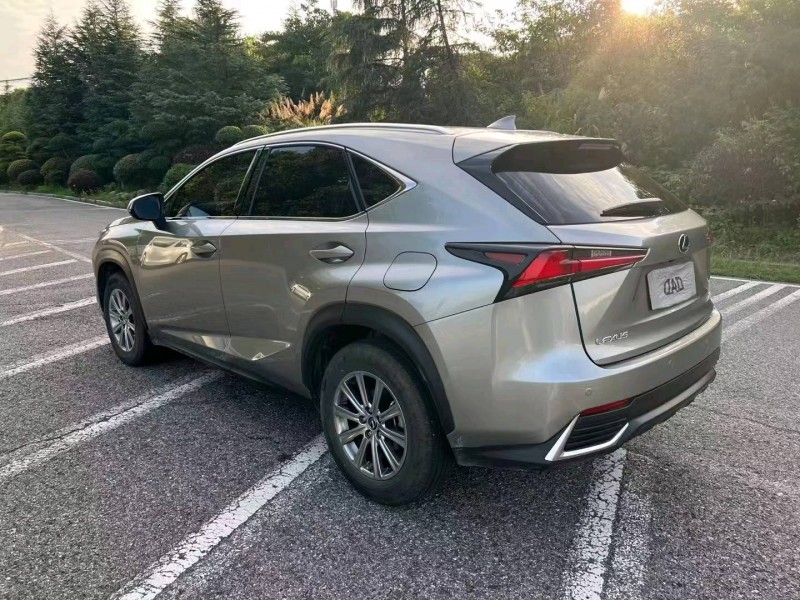 宜昌20年雷克薩斯NX4