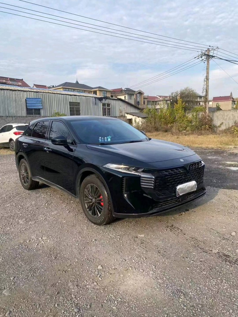 嘉興23年啟辰大V6
