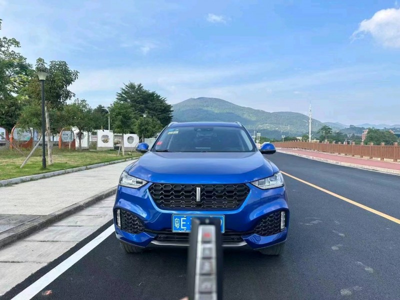 珠海19年长城汽车WEY VV61
